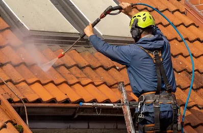 Démoussage et hydrofuge de toiture à Mogues